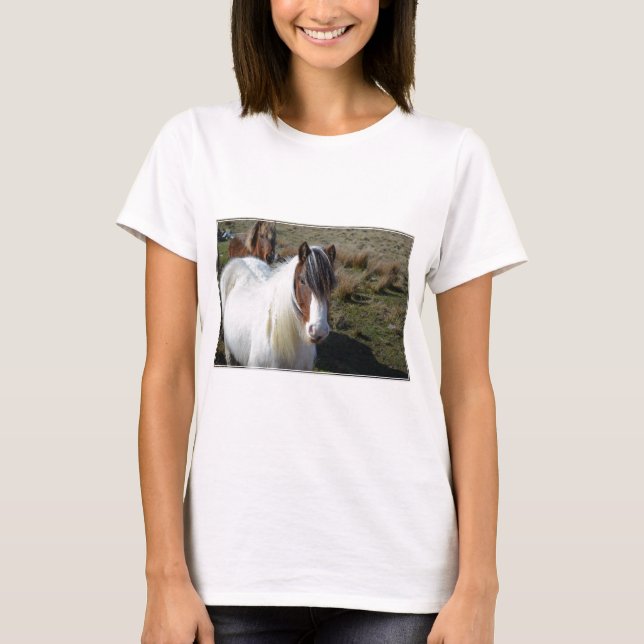 Connemara Pony T-Shirt (Front)