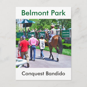 Conquest Bandido Postcard