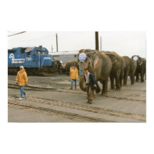 Conrail Elephants on The March