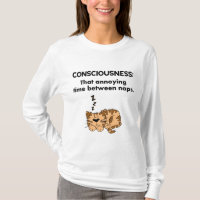Consciousness: That Annoying Time Between Naps