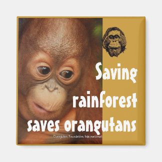 Conservation Magnet
