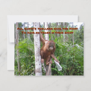 Conservation, No Plastic Pollution Card