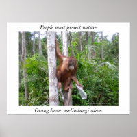 Conserve Nature Wildlife