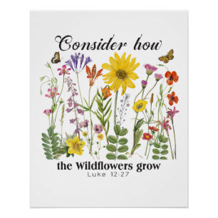 Consider how the wildflowers grow - Luke 12 Poster