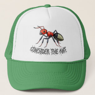 Consider the Ant Hat