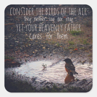 Consider the Birds of the Air Stickers