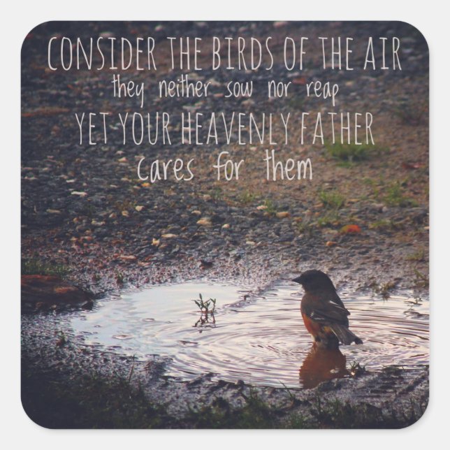 Consider the Birds of the Air Stickers (Front)