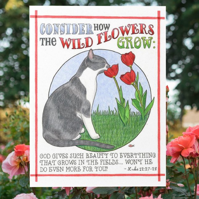 Consider the Flowers Inspirational Postcard (Creator Uploaded)