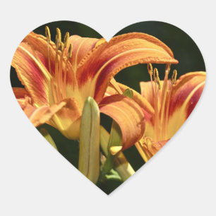 Consider The Lilies Of The Field Heart Sticker