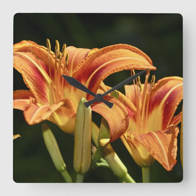Consider The Lilies Of The Field Square Wall Clock (Front)