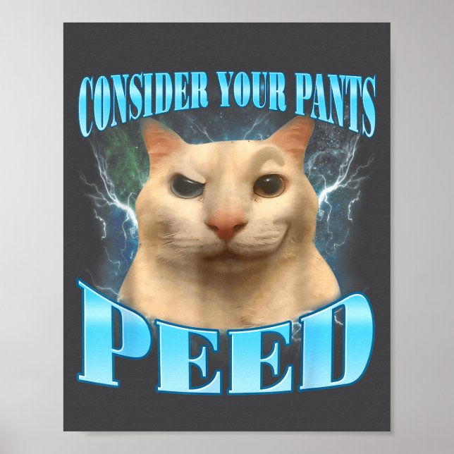Consider Your Pants Peed Funny Freak Cat Meme Humo Poster (Front)