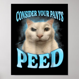 Consider Your Pants Peed Funny Freak Cat Meme Humo Poster