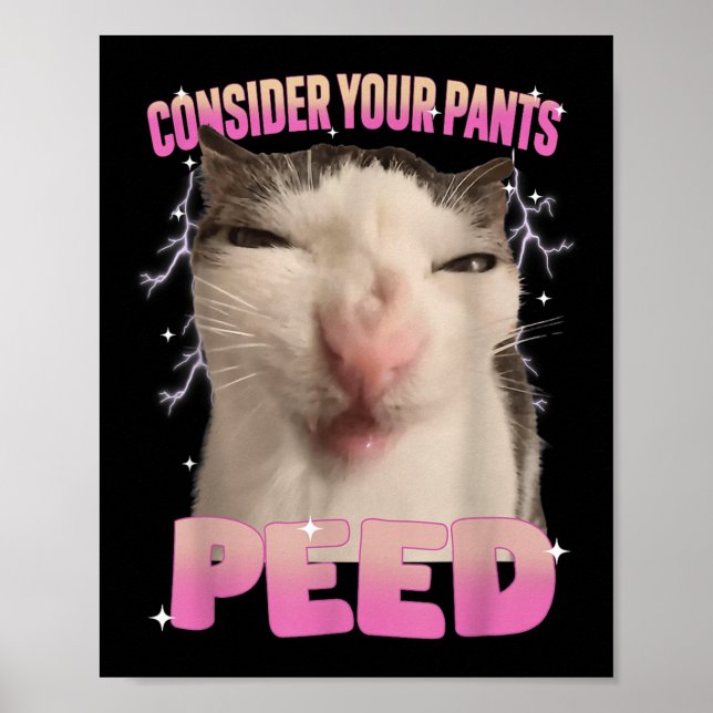 Consider Your Pants Peed Silly Cat Meme Funny Men  Poster (Front)