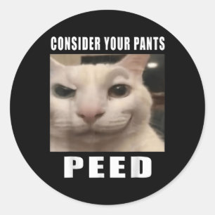Consider Your Pants Peed Silly Cat Meme Men Women  Classic Round Sticker