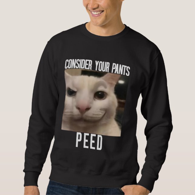 Consider Your Pants Peed Weird Cat Meme Funny Meme Sweatshirt (Front)