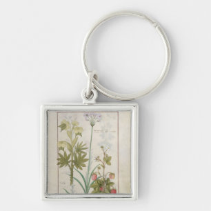 Consiligo, Burreed and Strawberry Key Ring