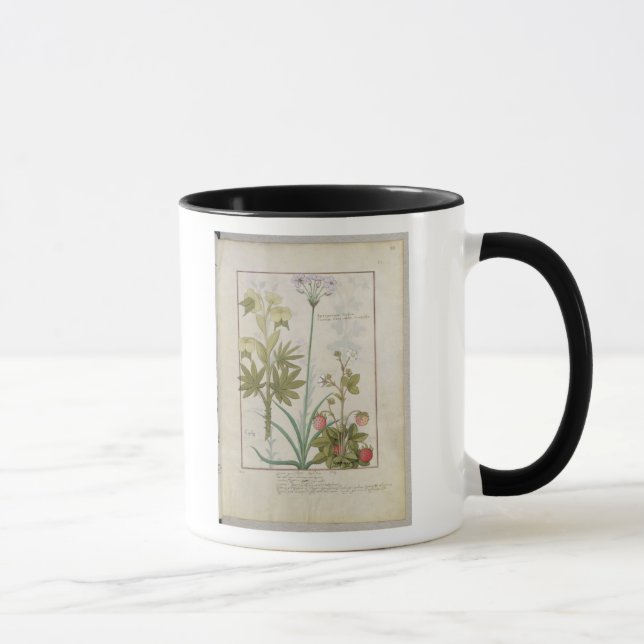 Consiligo, Burreed and Strawberry Mug (Right)