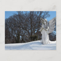 Consoling Angel • Sunshine