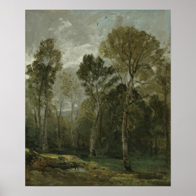 Constable - View Of A Copse Poster (Front)