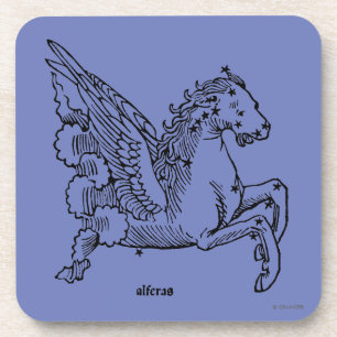 Constellaion: Pegasus Coaster