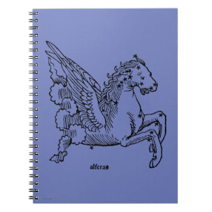 Constellaion: Pegasus Spiral Notebook