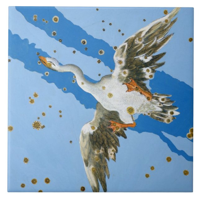 Constellation of Cygnus, from 'Uranometria' writte Tile (Front)