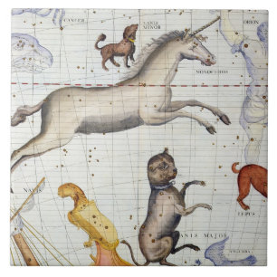 Constellation of Monoceros with Canis Major and Mi Tile