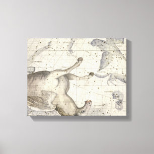 Constellation of Pegasus, plate 25 from 'Atlas Coe Canvas Print