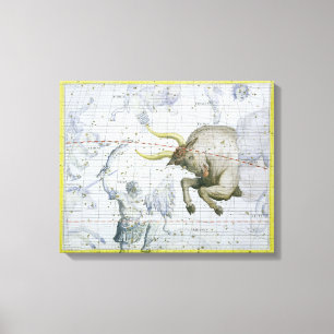 Constellation of Taurus, plate 2 from 'Atlas Coele Canvas Print