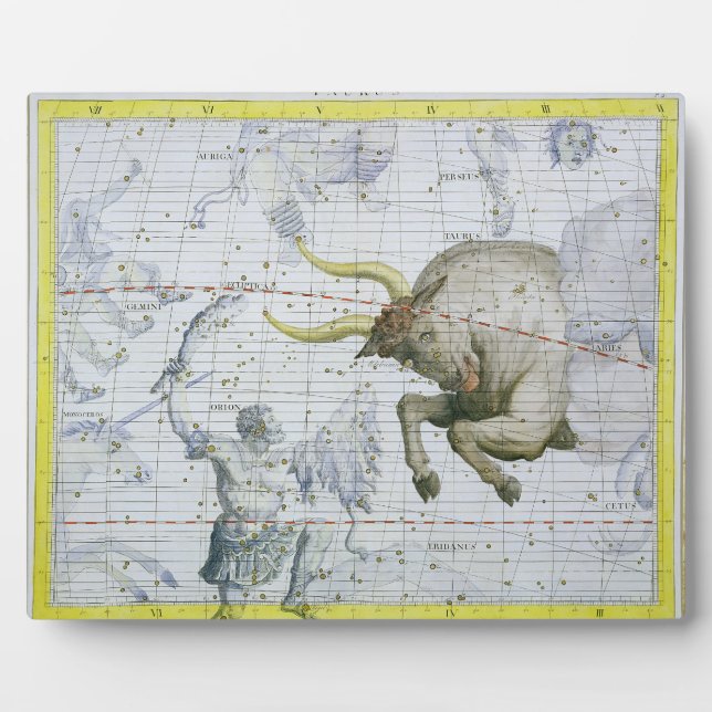 Constellation of Taurus, plate 2 from 'Atlas Coele Plaque (Front)