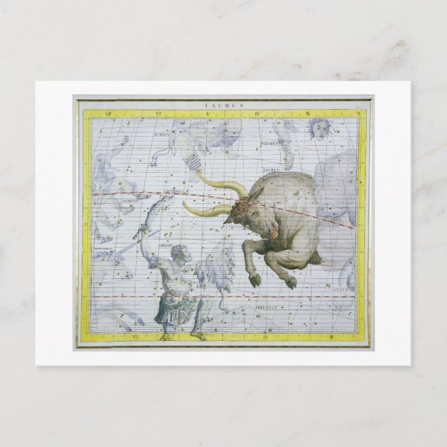 Constellation of Taurus, plate 2 from 'Atlas Coele Postcard (Front)