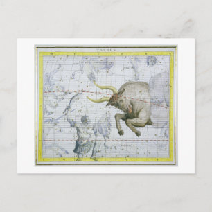 Constellation of Taurus, plate 2 from 'Atlas Coele Postcard