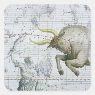 Constellation of Taurus, plate 2 from 'Atlas Coele Square Sticker