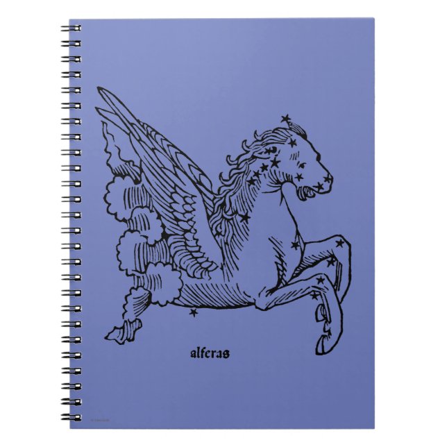 Constellation: Pegasus Spiral Notebook (Front)