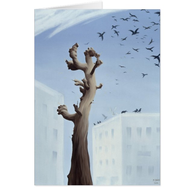 Consternation 2004 (Front)