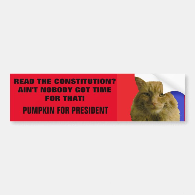 Constitution? Ain't Nobody Got Time For That! Bumper Sticker (Front)
