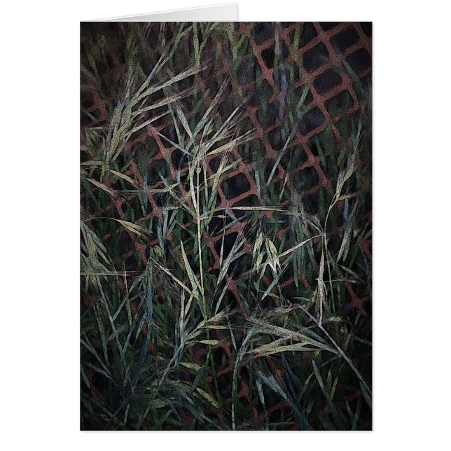 Construction (Front)