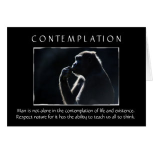 Contemplation