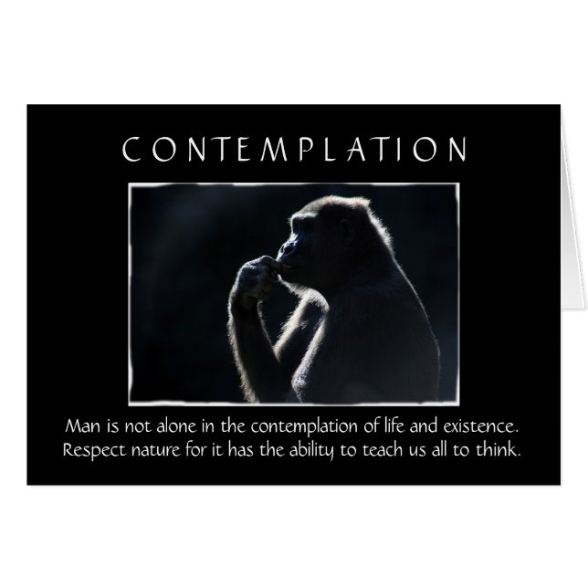 Contemplation (Front Horizontal)