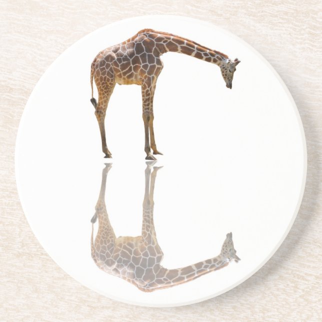 CONTEMPLATION COASTER (Front)