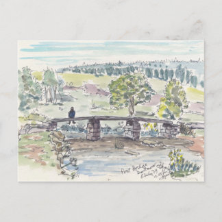 Contemplation Postcard