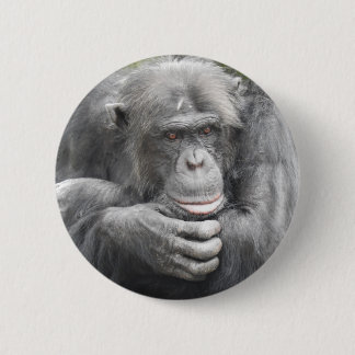 Contemplative Chimpanzee 6 Cm Round Badge
