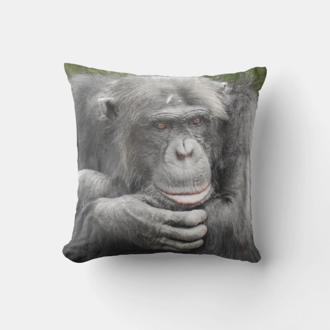 Contemplative Chimpanzee Cushion (Front)