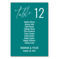 Contemporary Elegant Teal Double Digits