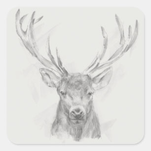 Contemporary Elk Sketch Square Sticker