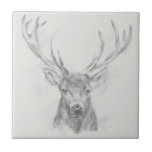 Contemporary Elk Sketch Tile<br><div class="desc">Contemporary Elk Sketch II by Ethan Harper. Features the portrait of an elk sketched in pencil.</div>