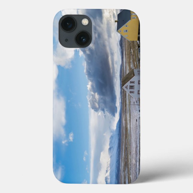 Contemporary Houses Case-Mate iPhone Case (Back)