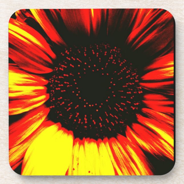 contemporary large sunflower seed head and petals coaster (Front)