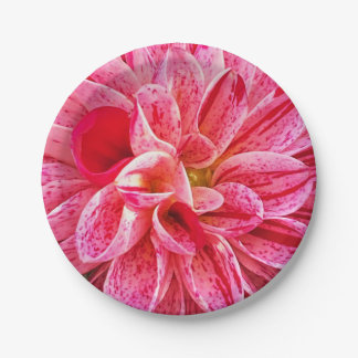contemporary Pink Floral Photography Paper Plate