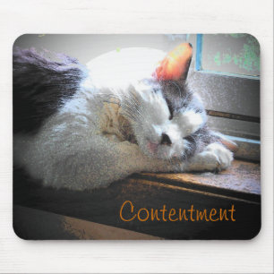 Content Sleeping Kitty Mouse Pad
